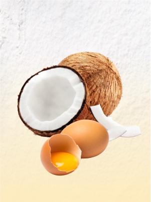 coco, coco quebrado, lasca de coco fresco, ovo, ovos, ovo quebrado, gema de ovo amarelinha